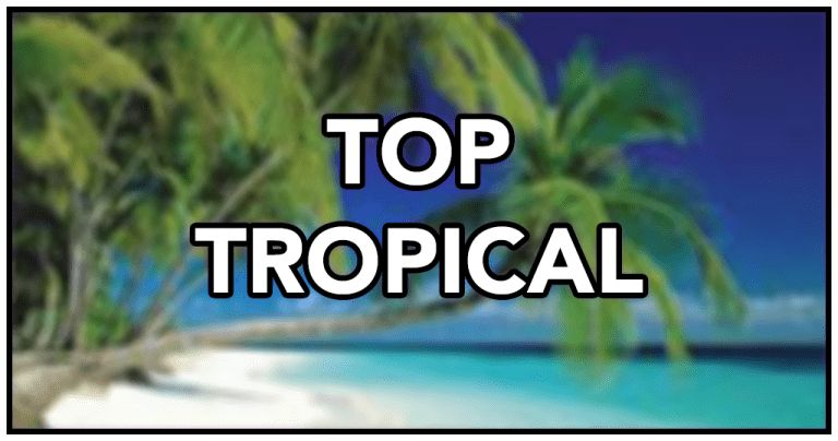 Tropical